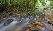 Ironpot Creek,, Toonumbar National Park. Photo: Robert Ashdown