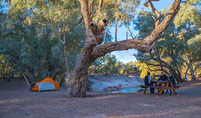 A family picnic beside their tent at Darling River campground, Toorale National Park. Photo: Joshua Smith/OEH.