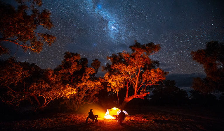 Campers and starry night skies at Darling River campground, Toorale National Park. Photo: Joshua Smith/OEH.