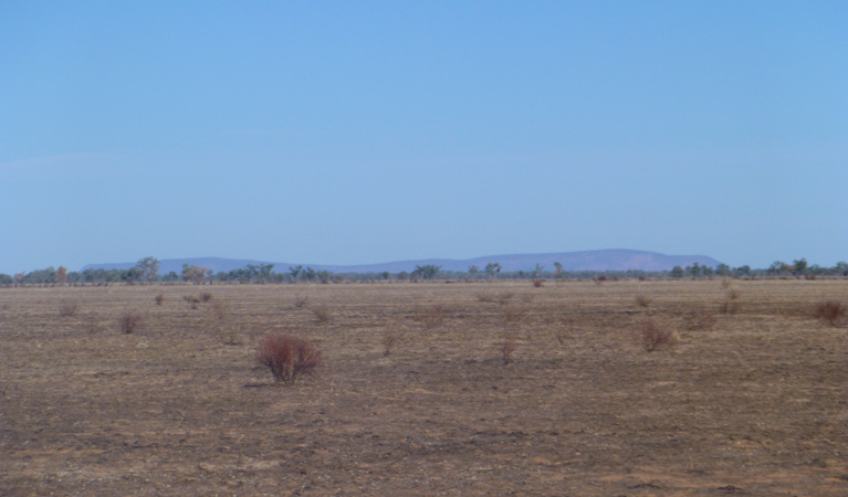 Toorale National Park with Mt Gunderbooka in the background. Photo: Chris Ghirardillo