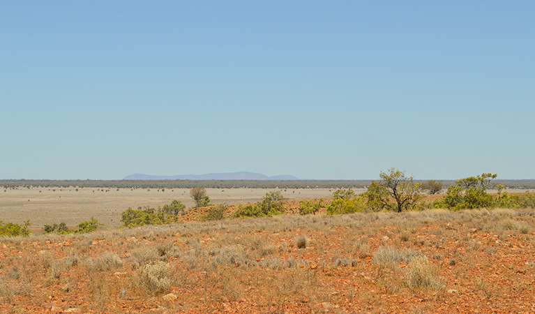 Mount Talowla lookout, Toorale State Conservation Area. Photo: Dinitee Haskard