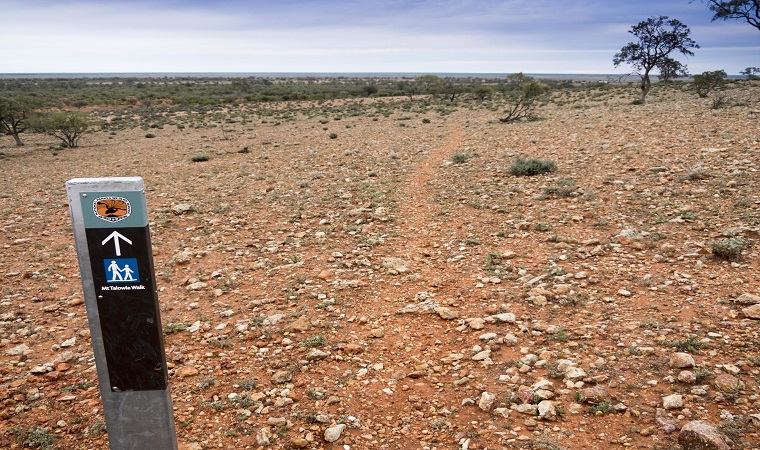 Mount Talowla walking track park sign and outback landscape, Toorale State Conservation Area. Photo: Leah Pippos &copy; DPE