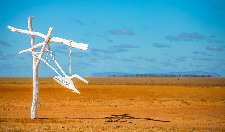 Toorale National Park. Photo: Joshua Smith/OEH