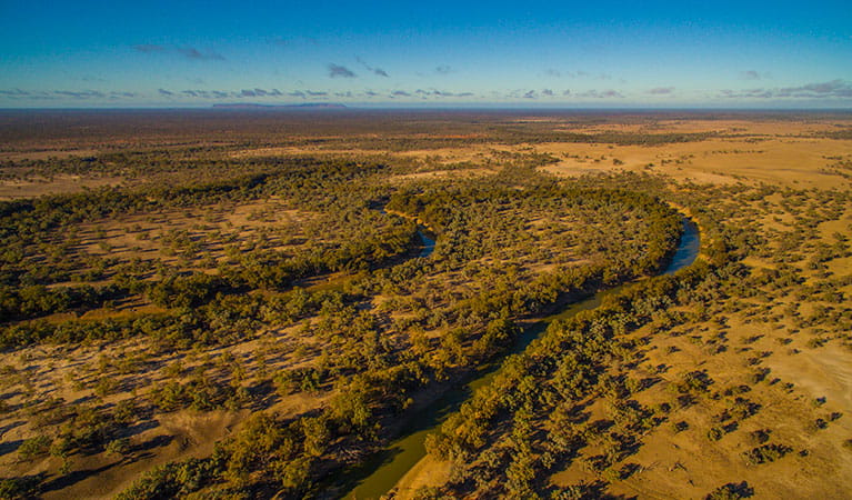 Aerial shot of Toorale National Park. Photo: Joshua Smith/OEH