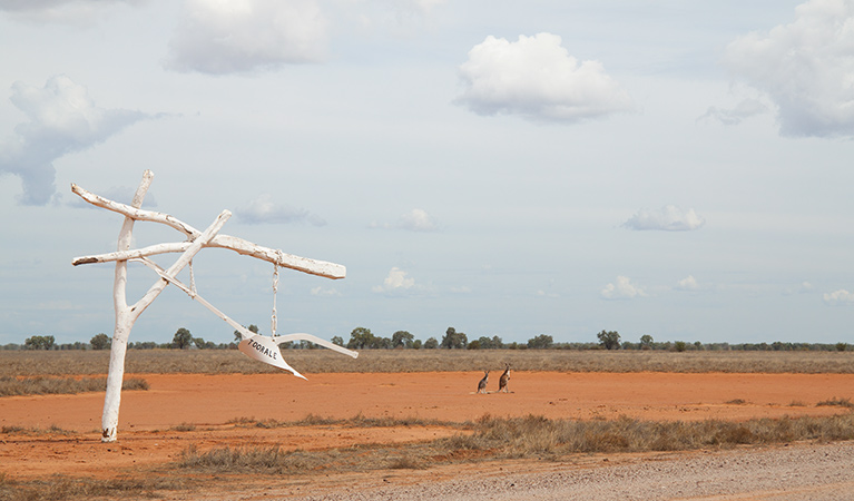 Toorale National Park and State Conservation Area. Photo: Gregory Anderson