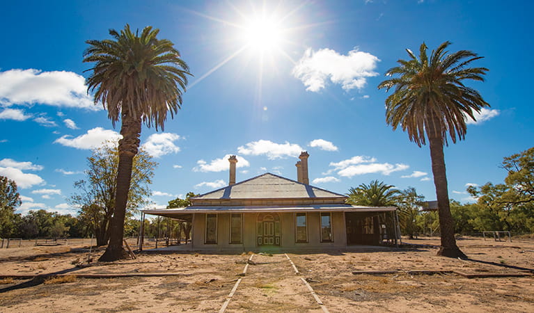 Wide view of Toorale Homestead with palm trees, under a sunny sky. Photo: Joshua Smith/DPIE