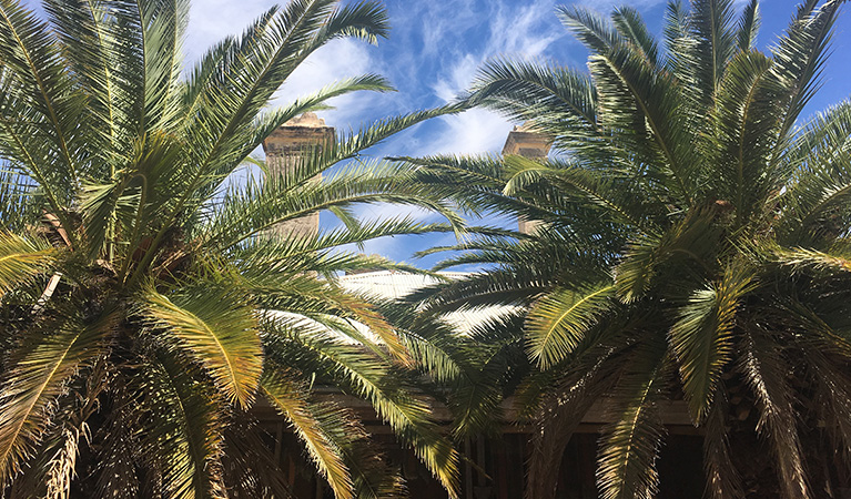 Glimpse of historic Toorale Homestead chimneys through the canopy of 2 palm trees. Photo &copy; Adam Fawcett