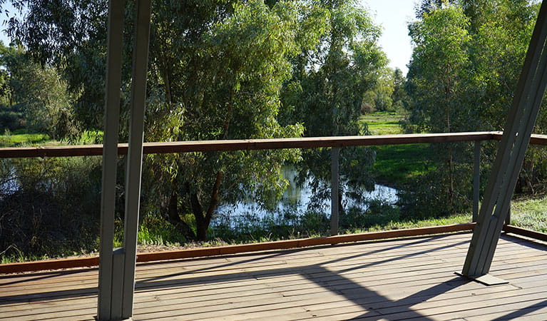 The platform at Warrego Floodplain lookout, 500m from Warrego Floodplain picnic area in Toorale National Park. Photo: Chris Ghirardello &copy; DPIE