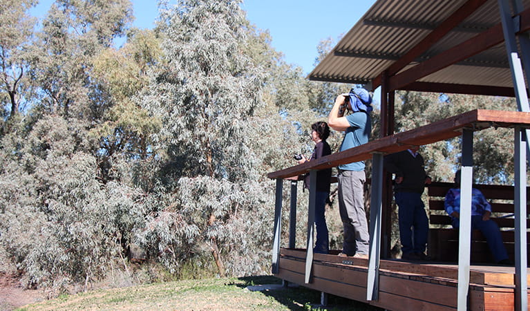 A  group of people watch for birds beneath the shelter of Warrego Floodplain lookout. Photo: Jessica Stokes &copy; DPIE