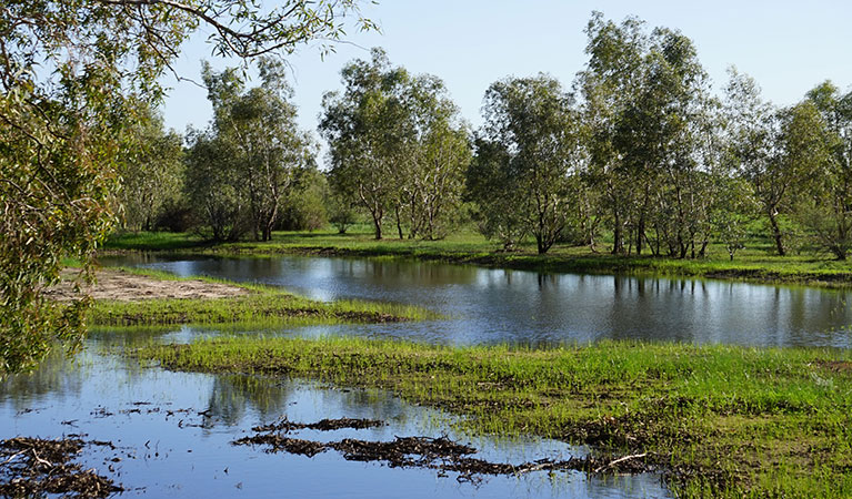 Warrego Floodplain in Toorale National Park. Photo: Chris Ghirardello &copy; DPIE