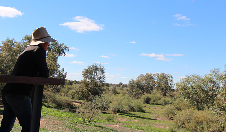 A man stands at Warrego Floodplain lookout with a view over a grassy plain dotted with trees, bushes and grasses. Photo: Jessica Stokes &copy; OEH