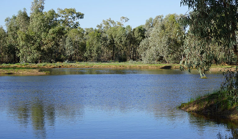 Warrego Floodplain in Toorale National Park. Photo: Chris Ghirardello &copy; DPIE