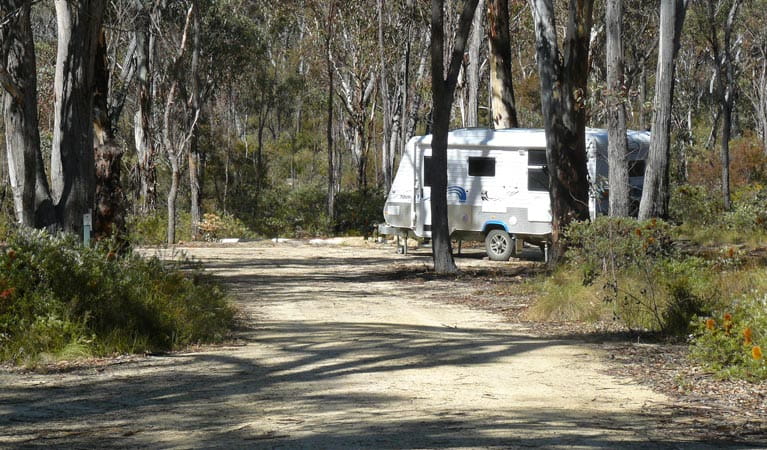 Blatheram campground, Torrington State Conservation Area. Photo: NSW Government