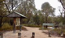 Picnic area set in open woodland with covered information bay, picnic table and Mystery Face walk sign. Photo: Shari May/DPIE