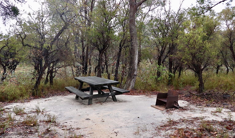 Picnic table with wood barbecue in a woodland clearing, Torrington State Conservation Area. Photo: Shari May/DPIE