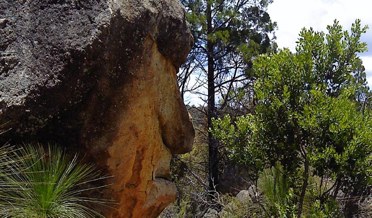 Mystery Face walk, Torrington State Conservation Area