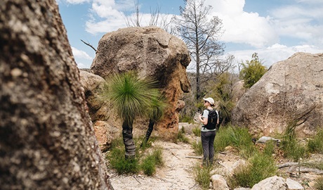 A visitor looking at the Mystery Face, Torrington State Conservation Area. Photo credit: Harrison Candlin &copy; Harrison Candlin