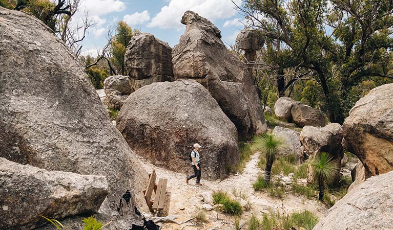 A visitor walks Mystery Face walking track, Torrington State Conservation Area. Photo credit: Harrison Candlin &copy; Harrison Candlin