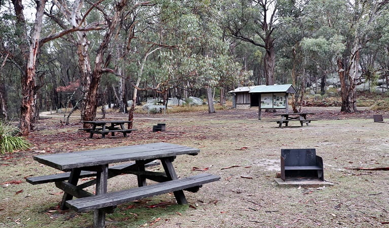 Picnic tables, wood barbecues and picnic shelter on a grassy area surrounded by bushland.  Photo: Shari May/DPIE