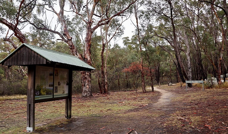 Information bay in grassy forest opening at the start of Thunderbolts lookout walk. Photo: Shari May/DPIE
