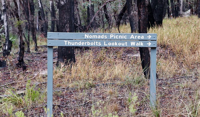 Park signage at the start of Thunderbolts lookout walking track, near Nomads picnic area. Photo: Shari May/DPIE