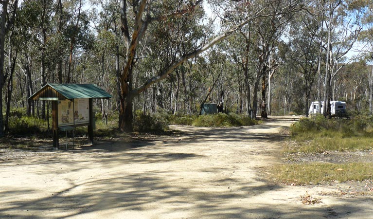 Blatheram campground, Torrington State Conservation Area. Photo: NSW Government