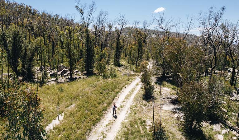 A visitor walks Ugly Corner Falls walking track in Torrington State Conservation Area. Photo credit: Harrison Candlin &copy; Harrison Candlin