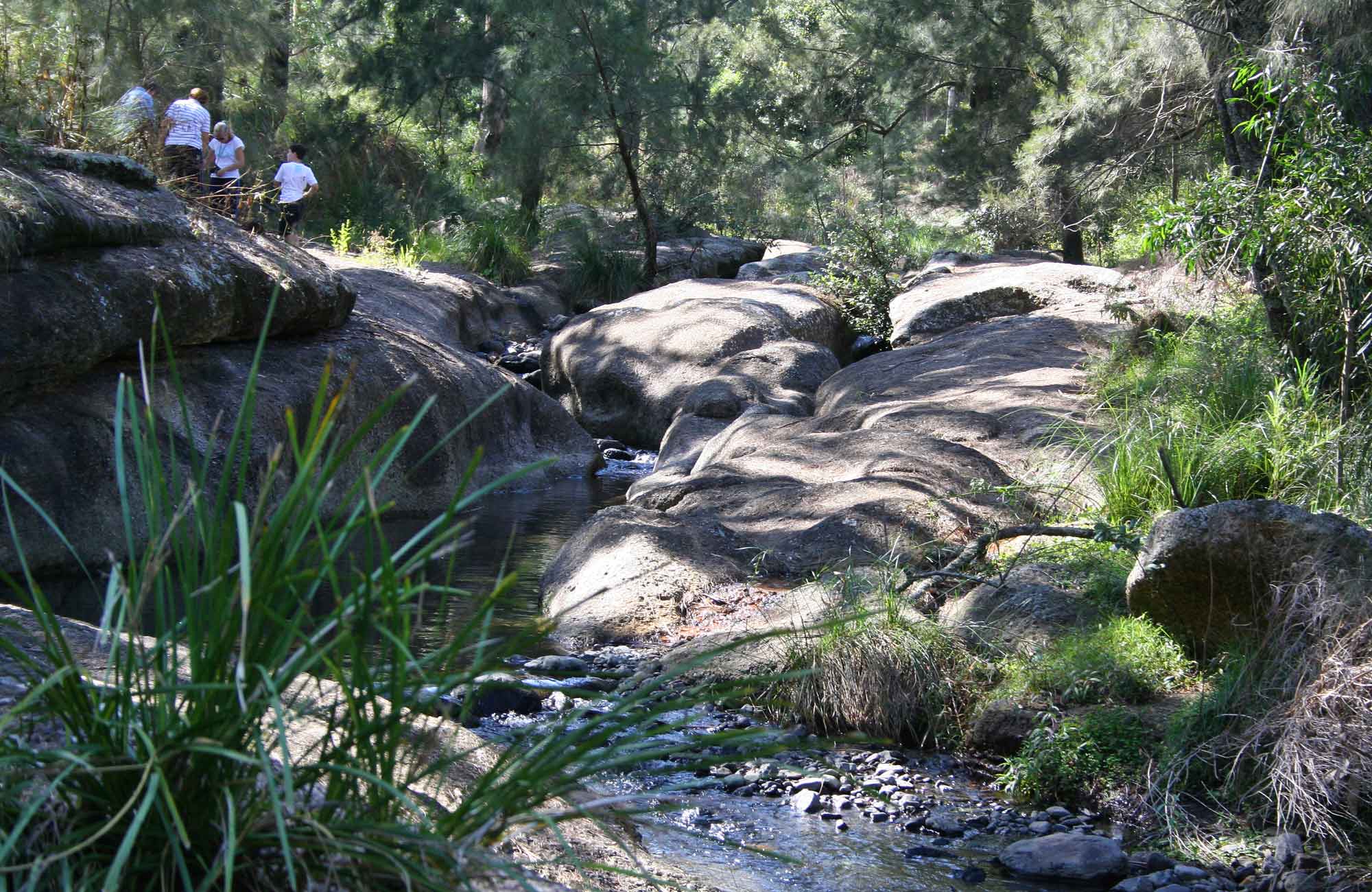 Washpool waterhole, Towarri National Park. Photo: NSW Government