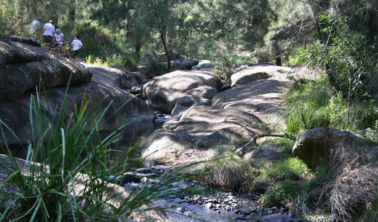 Washpool campground, Towarri National Park. Photo: NSW Government