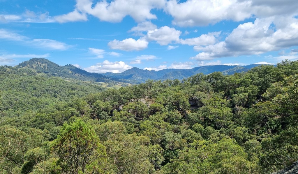 View of the Liverpool Range from the lookout point at the end of Range View track in Towarri National Park. Photo: Scott Munro &copy; DCCEEW