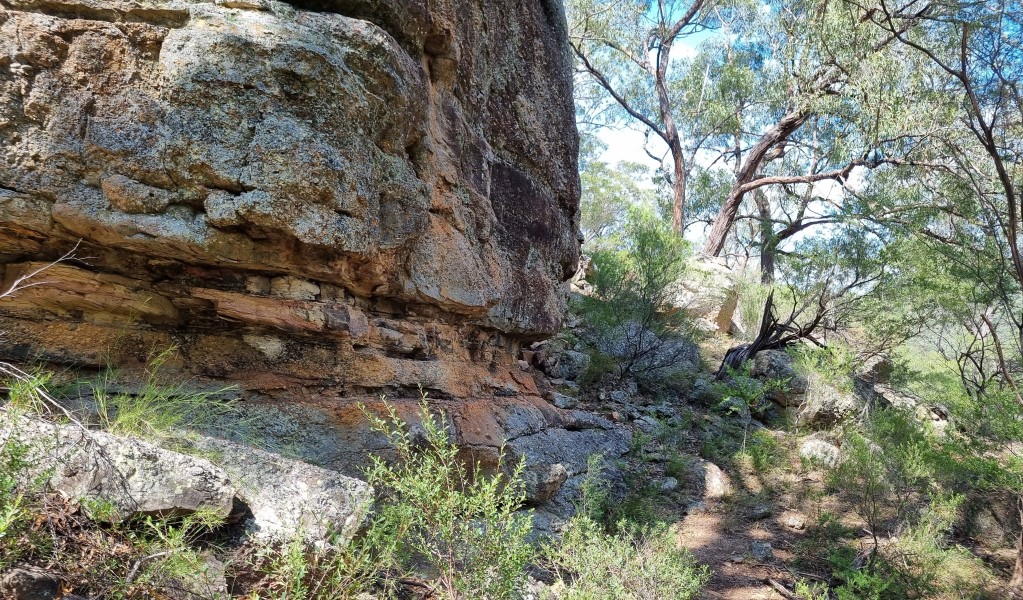 Tall rock walls along Range View track in Towarri National Park. Photo: Scott Munro &copy; DCCEEW