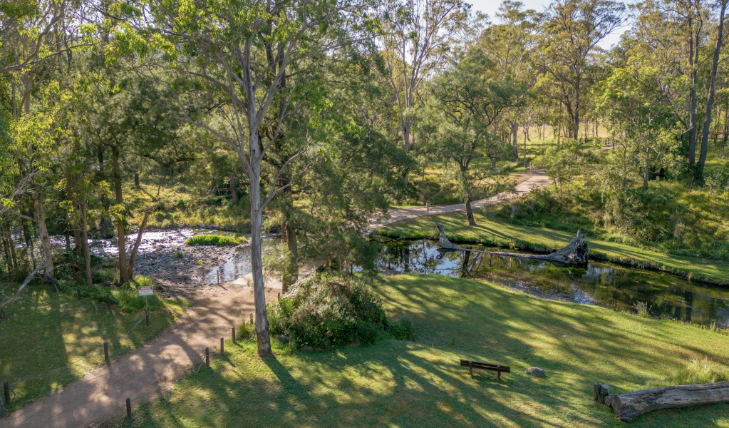 The grassy banks of Middle Brook at Washpools campground in Towarri National Park. Photo: John Spencer &copy; DCCEEW