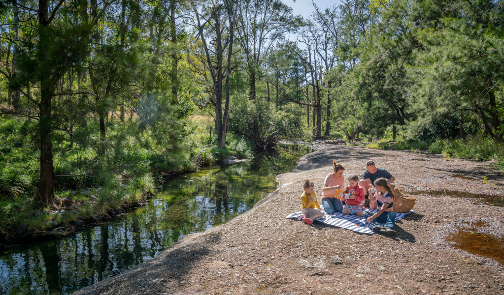 Family having a picnic on the banks of the Middle Brook. Credit: John Spencer &copy; DPE