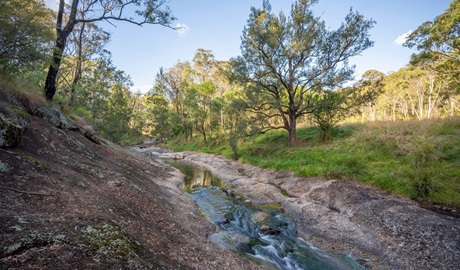 The steep rocky banks of the creek along Washpools walk, Towarri National Park. Credit: John Spencer/DCCEEW &copy; DCCEEW  