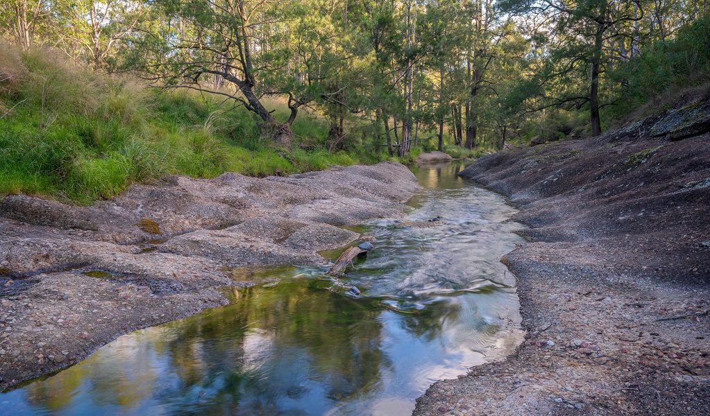 Shallow pools of the creek along Washpools walk, with blue sky, white clouds and treetops reflected in the water, Towarri National Park. Credit: John Spencer/DCCEEW &copy; DCCEEW