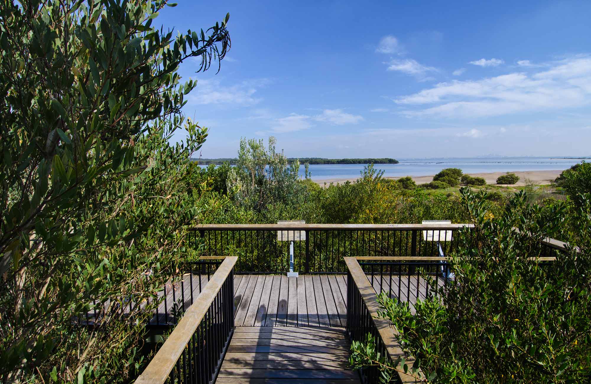 Quibray viewing platform, Towra Point Nature Reserve. Photo: John Spencer/NSW Government