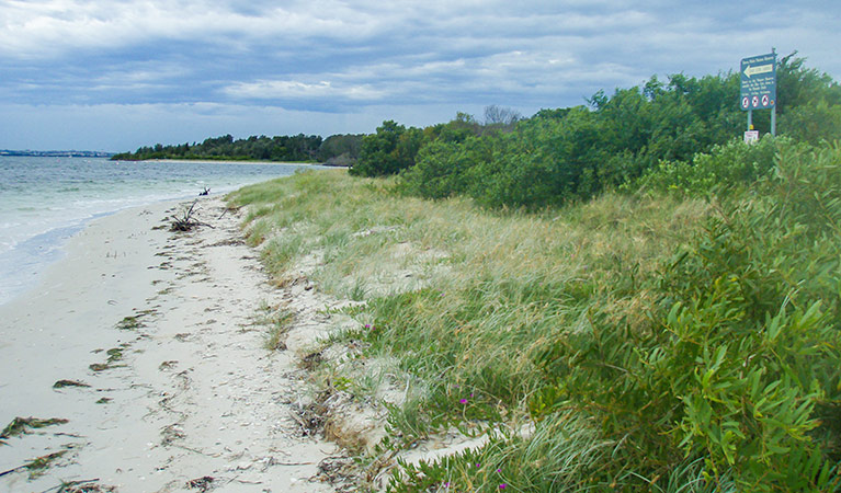 Towra Beach picnic area, Towra Point Nature Reserve. Photo: OEH