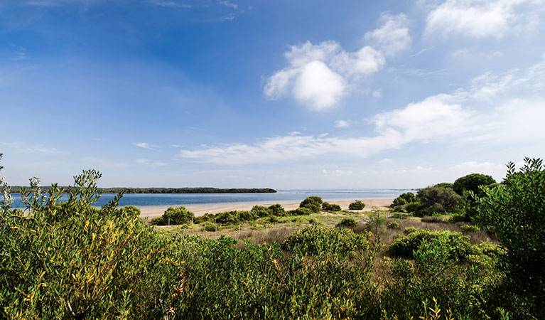 Towra Point Nature Reserve. Photo: John Spencer/NSW Government