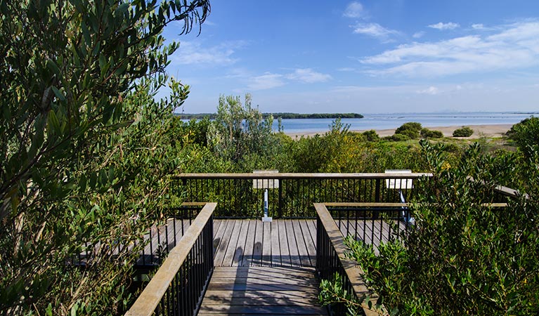 Towra Point Nature Reserve. Photo: John Spencer/NSW Government