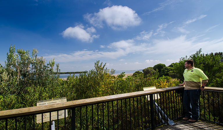 Quibray Bay viewing platform, Towra Point Nature Reserve. Photo: John Spencer/NSW Government