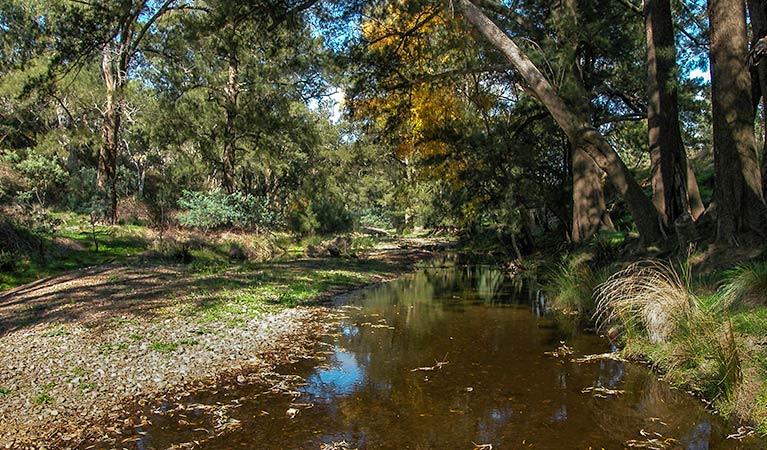 Turon River, Turon National Park. Photo:OEH