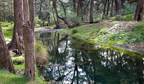 Turon River, Turon National Park. Photo: D. Noble