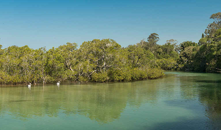 Tyagarah Nature Reserve. Photo: David Young