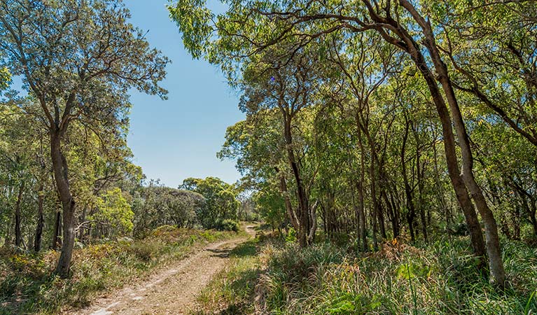 Tyagarah Nature Reserve. Photo &copy; David Young