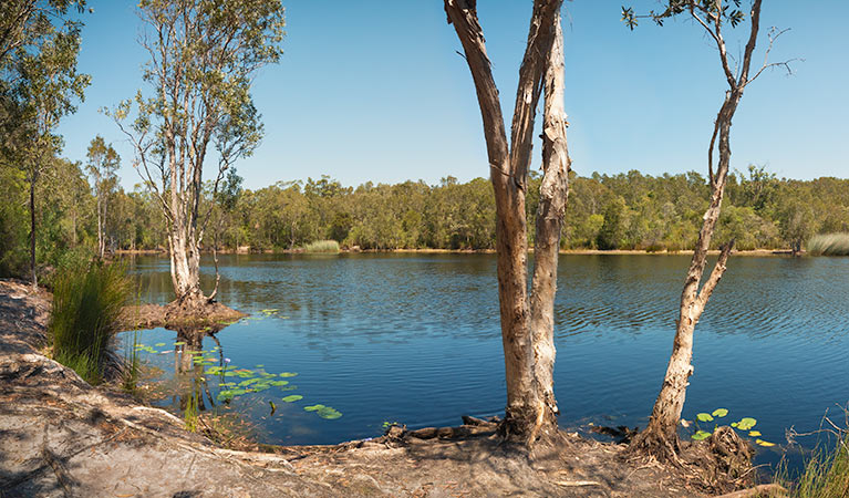 Tyagarah Nature Reserve. Photo &copy; David Young