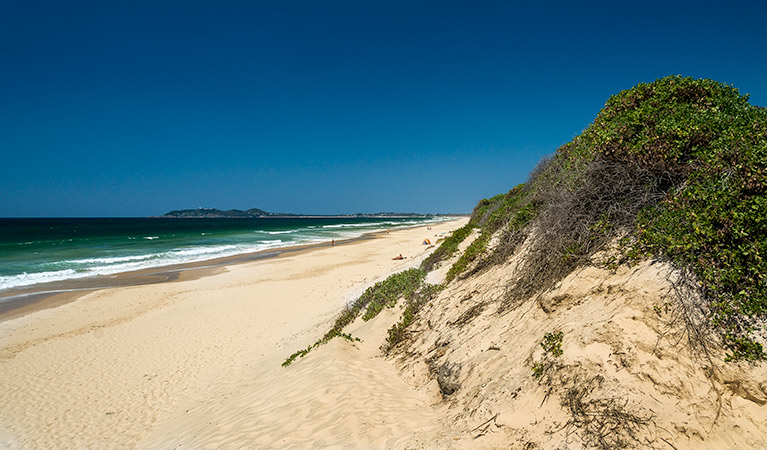 Tyagarah Nature Reserve. Photo &copy; David Young