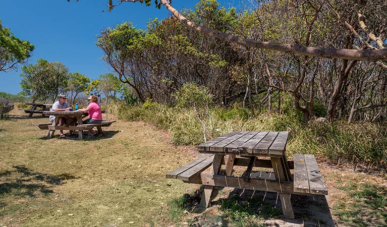 Tyagarah Nature Reserve picnic area, Tyagarah Nature Reserve. Photo &copy; David Young