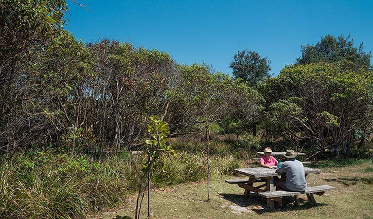 Tyagarah Nature reserve picnic area, Tyagarah Nature Reserve. Photo: David Young