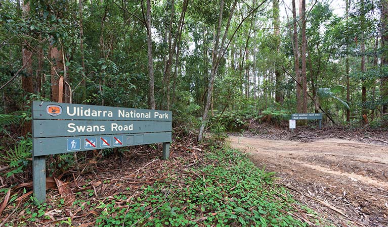 Swans Road, Ulidarra National Park. Photo: Rob Cleary &copy; OEH