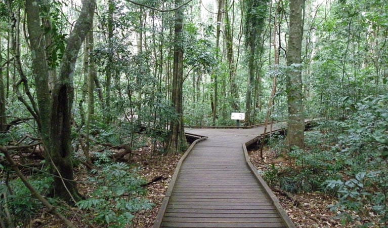 Victoria Park boardwalk, Victoria Park Nature Reserve.